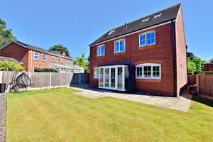 Photo 21- click for photo gallery